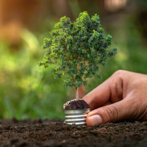 Digital Detox and Media Awareness