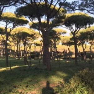 What Drives Me? Discover Meaning and Motivation